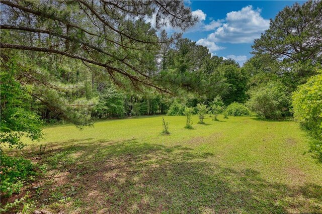 78 N Pomona Rd, Hampton, GA 30228 - view of green lawn with a view of trees