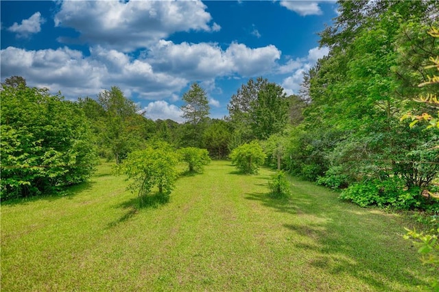 78 N Pomona Rd, Hampton, GA 30228 - view of grassy yard featuring a view of trees