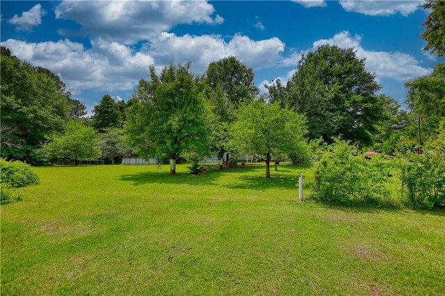78 N Pomona Rd, Hampton, GA 30228 - view of green lawn