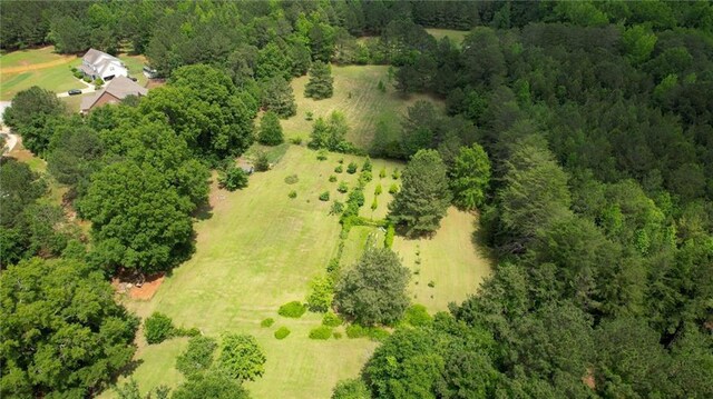78 N Pomona Rd, Hampton, GA 30228 - bird's eye view of a forest