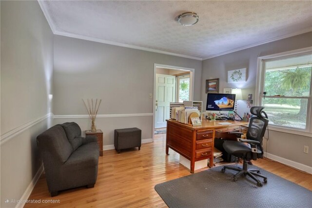 78 N Pomona Rd, Hampton, GA 30228 - office with light wood-style floors, crown molding, baseboards, and a textured ceiling