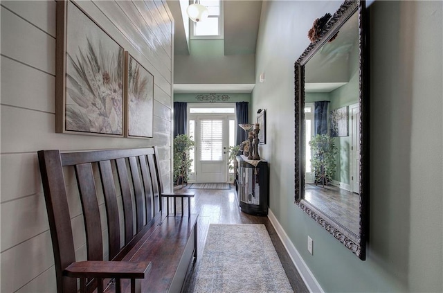 foyer entrance featuring dark wood-type flooring