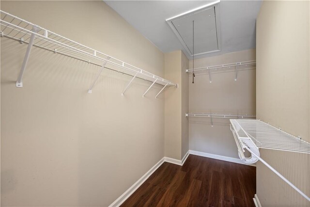 walk in closet with attic access and wood finished floors