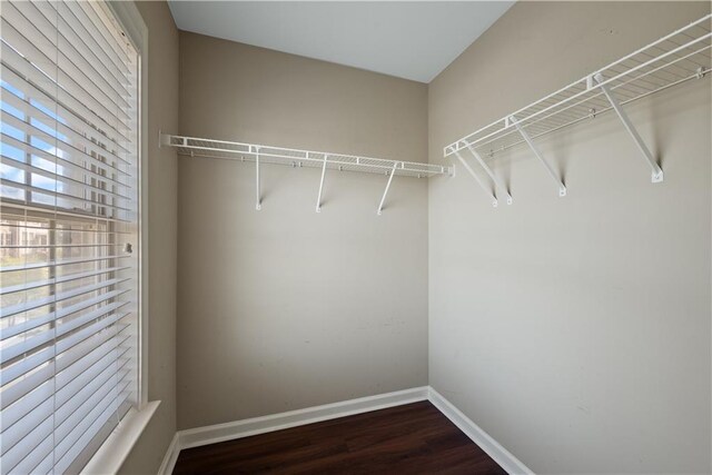 walk in closet featuring dark wood finished floors