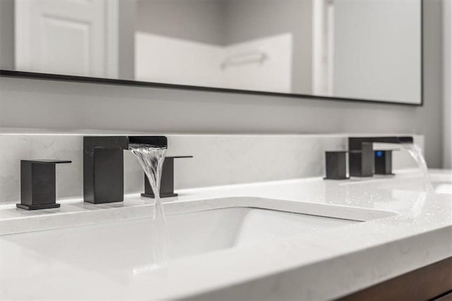 interior details with a sink
