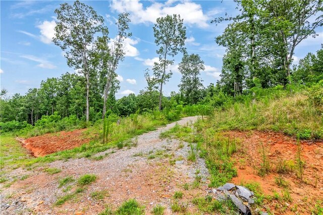 1084 Highgrove Dr, Talking Rock, GA 30175