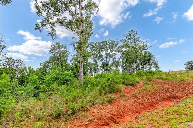 1084 Highgrove Dr, Talking Rock, GA 30175
