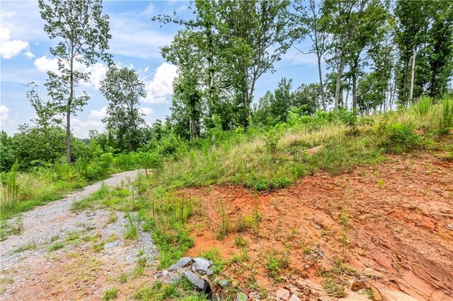 1084 Highgrove Dr, Talking Rock, GA 30175