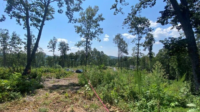 1084 Highgrove Dr, Talking Rock, GA 30175