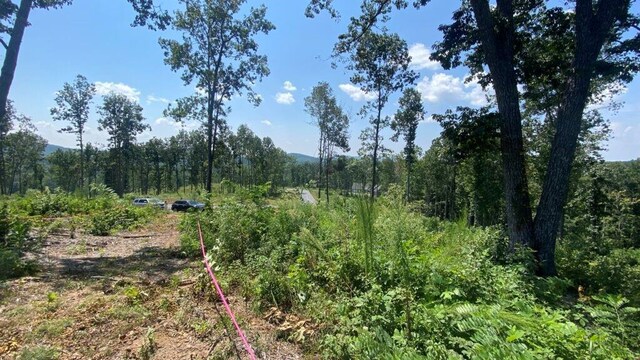 1084 Highgrove Dr, Talking Rock, GA 30175