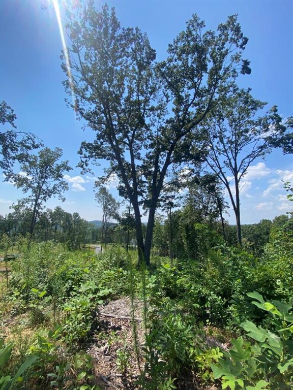 1084 Highgrove Dr, Talking Rock, GA 30175