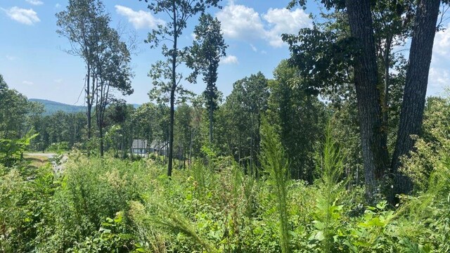 1084 Highgrove Dr, Talking Rock, GA 30175