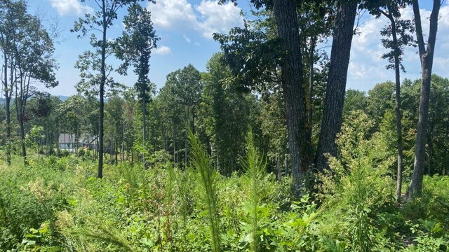 1084 Highgrove Dr, Talking Rock, GA 30175