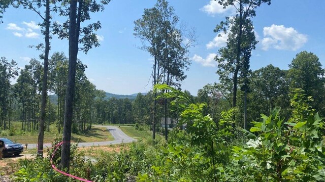1084 Highgrove Dr, Talking Rock, GA 30175