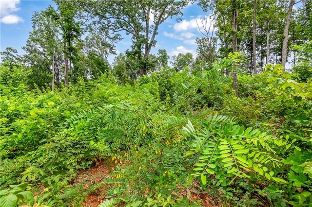 1084 Highgrove Dr, Talking Rock, GA 30175