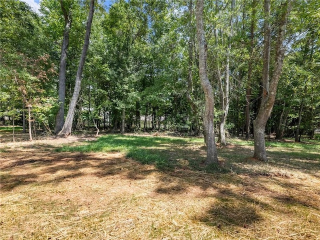 view of landscape featuring a view of trees