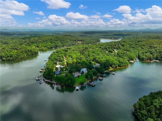 drone / aerial view featuring a water view and a forest view