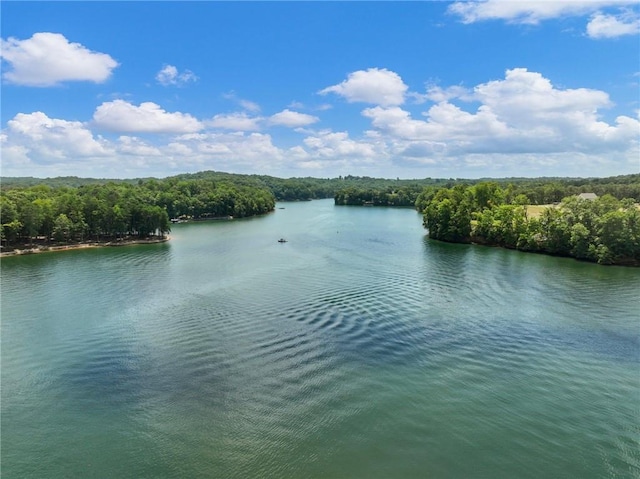 water view featuring a forest view