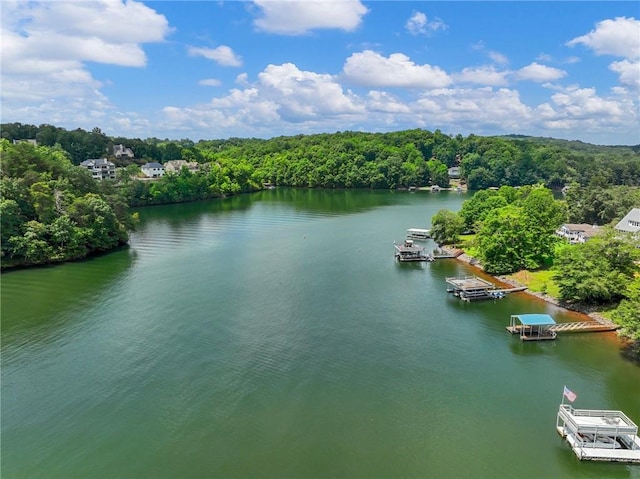 aerial view with a forest view and a water view