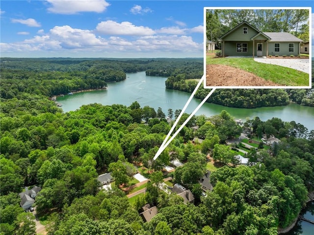 drone / aerial view with a water view and a view of trees