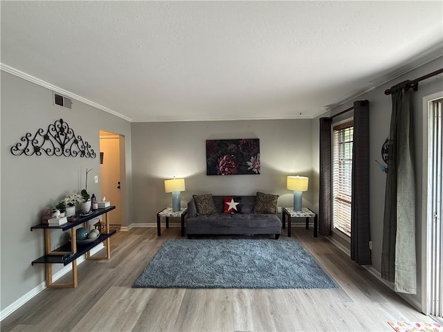 6851 Roswell Rd Unit D33, Atlanta, GA 30328 - living room featuring wood finished floors, ornamental molding, baseboards, and a textured ceiling