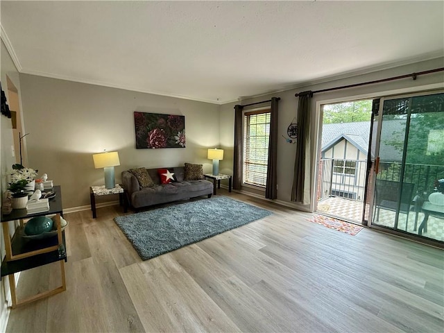 6851 Roswell Rd Unit D33, Atlanta, GA 30328 - living room featuring ornamental molding, wood finished floors, and baseboards