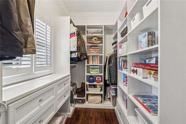 walk in closet with dark wood finished floors