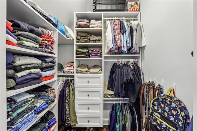 view of spacious closet