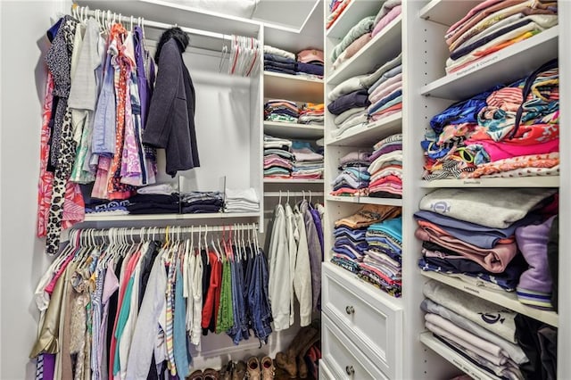 view of spacious closet