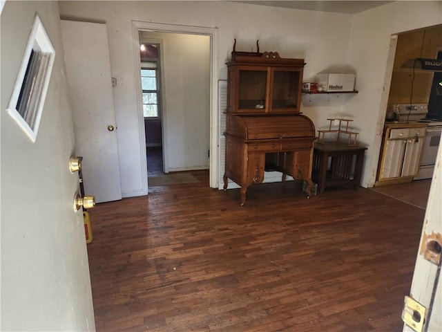 interior space featuring dark hardwood / wood-style floors