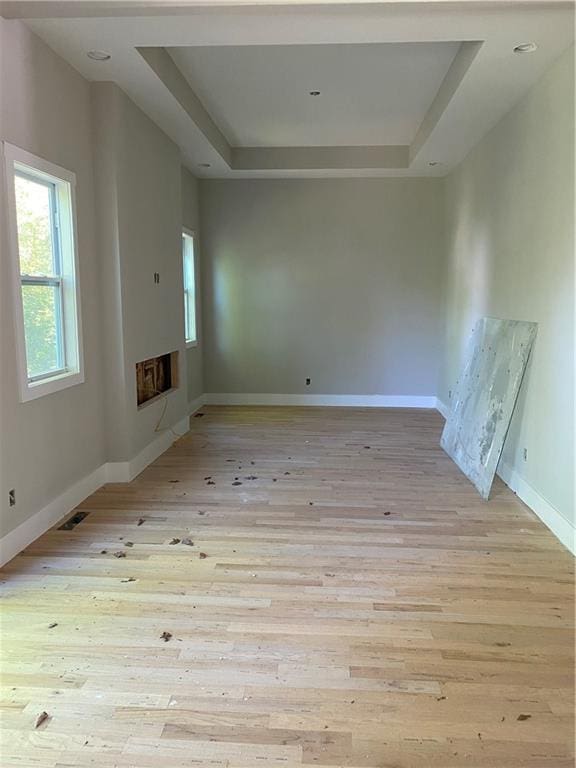 unfurnished living room featuring light wood-type flooring and a raised ceiling