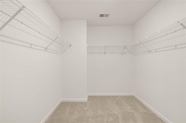 spacious closet featuring light colored carpet