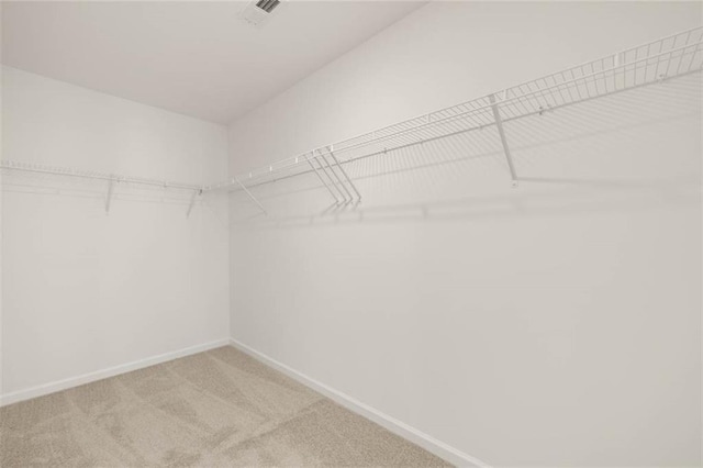 spacious closet with carpet