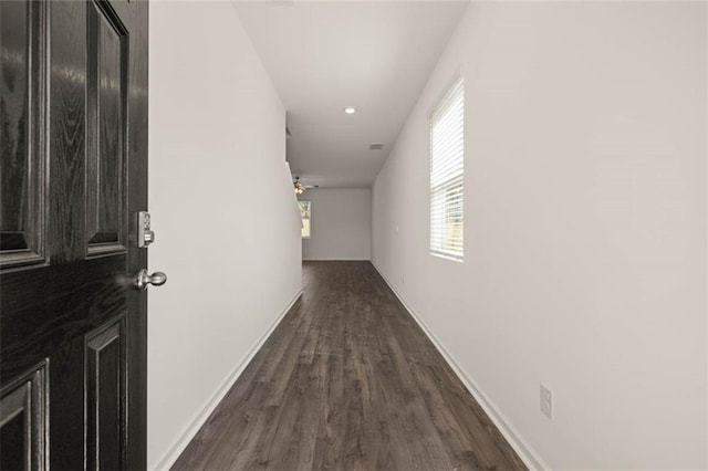 hall featuring dark hardwood / wood-style flooring