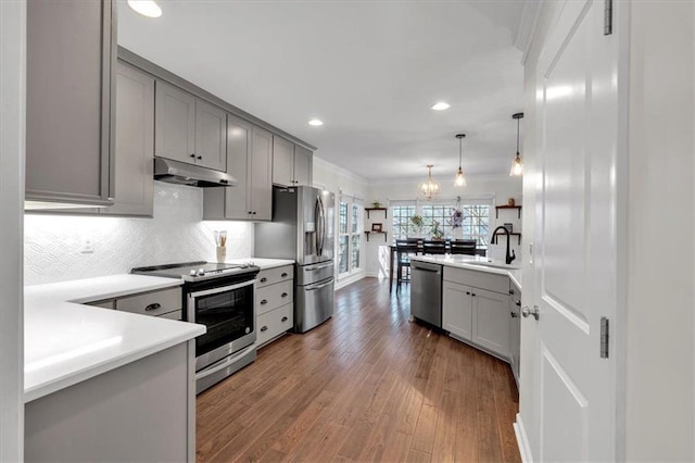 kitchen featuring gray cabinets, under cabinet range hood, a sink, dark wood-style floors, and stainless steel appliances