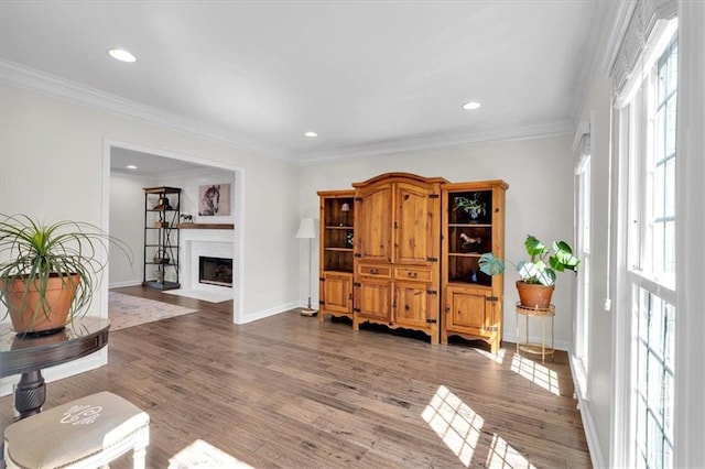 interior space featuring baseboards, wood finished floors, a fireplace with flush hearth, and ornamental molding