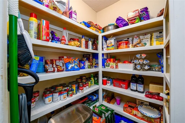7282 Litany Ct, Flowery Branch, GA 30542 - view of pantry