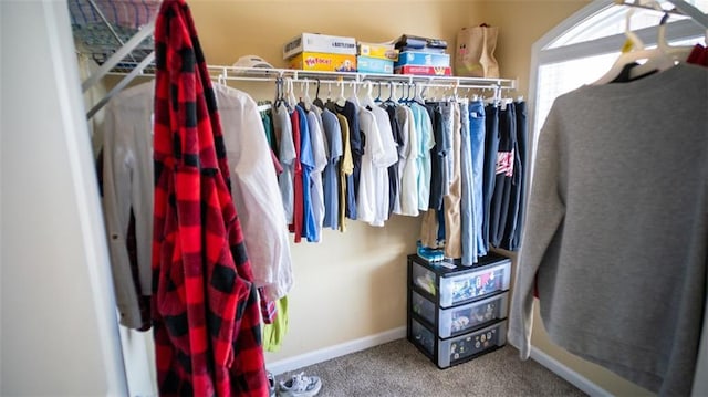 walk in closet with carpet