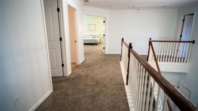 hall with ornamental molding and carpet flooring