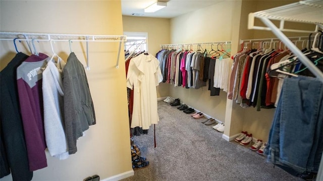 spacious closet featuring carpet floors