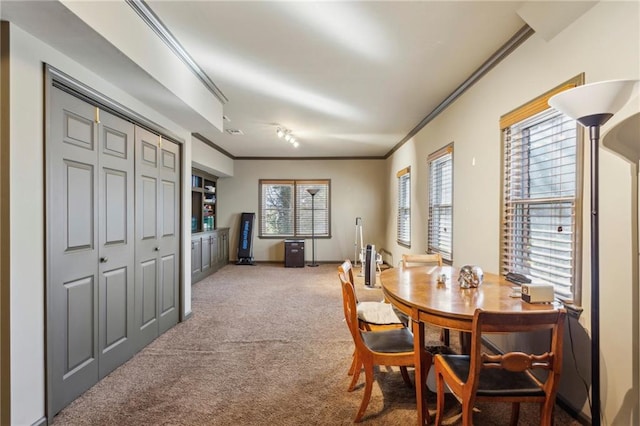 dining room featuring crown molding, plenty of natural light, and carpet flooring