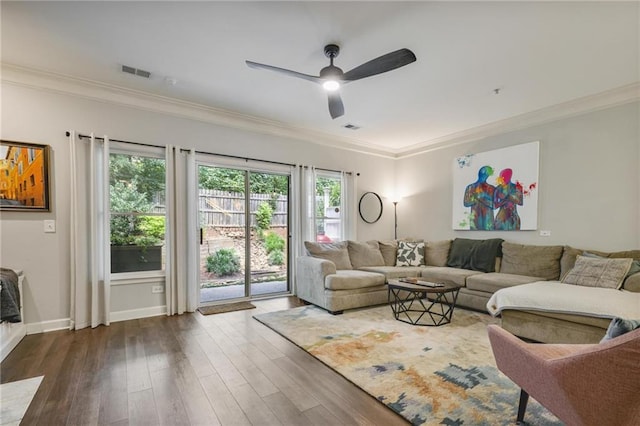 1244 Harris Commons Pl, Roswell, GA 30076 - living area featuring ceiling fan, plenty of natural light, crown molding, and dark wood-style floors