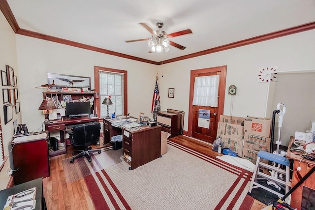 970 E Main St, Canton, GA 30114 - office area featuring ceiling fan, ornamental molding, and wood finished floors