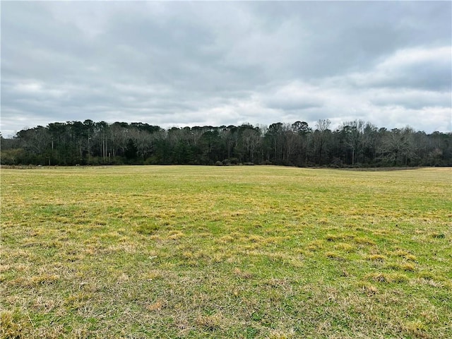 0 Bryant Rd, Ranger GA, 30734 land for sale