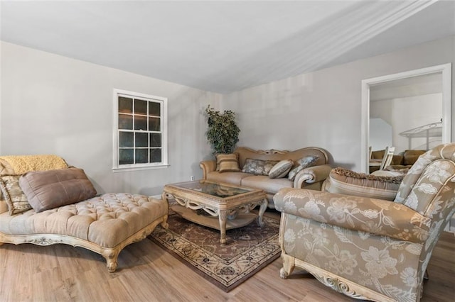 living room featuring hardwood / wood-style floors