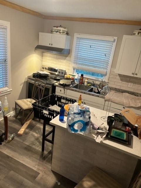 kitchen with backsplash, sink, wood-type flooring, white cabinetry, and stainless steel range with electric cooktop