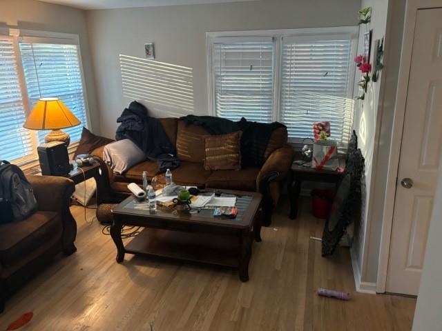 living room with light hardwood / wood-style floors