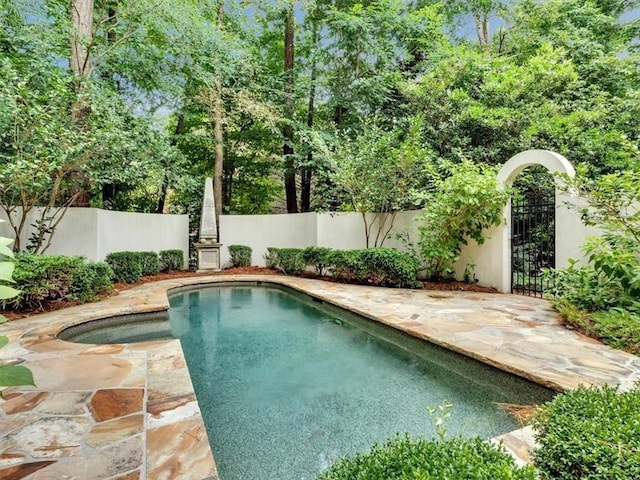 4670 Hamden Forest Dr SW, Atlanta, GA 30331 - view of pool