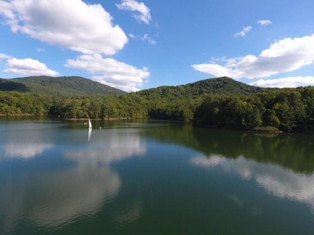 water view with a mountain view and a view of trees