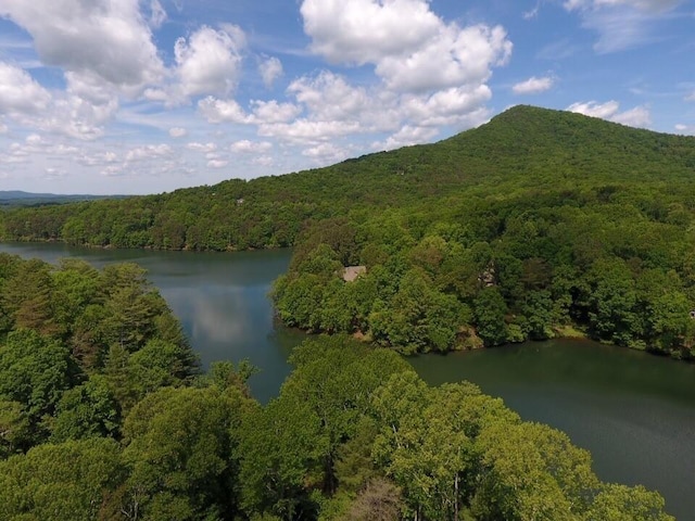 bird's eye view with a water view and a view of trees